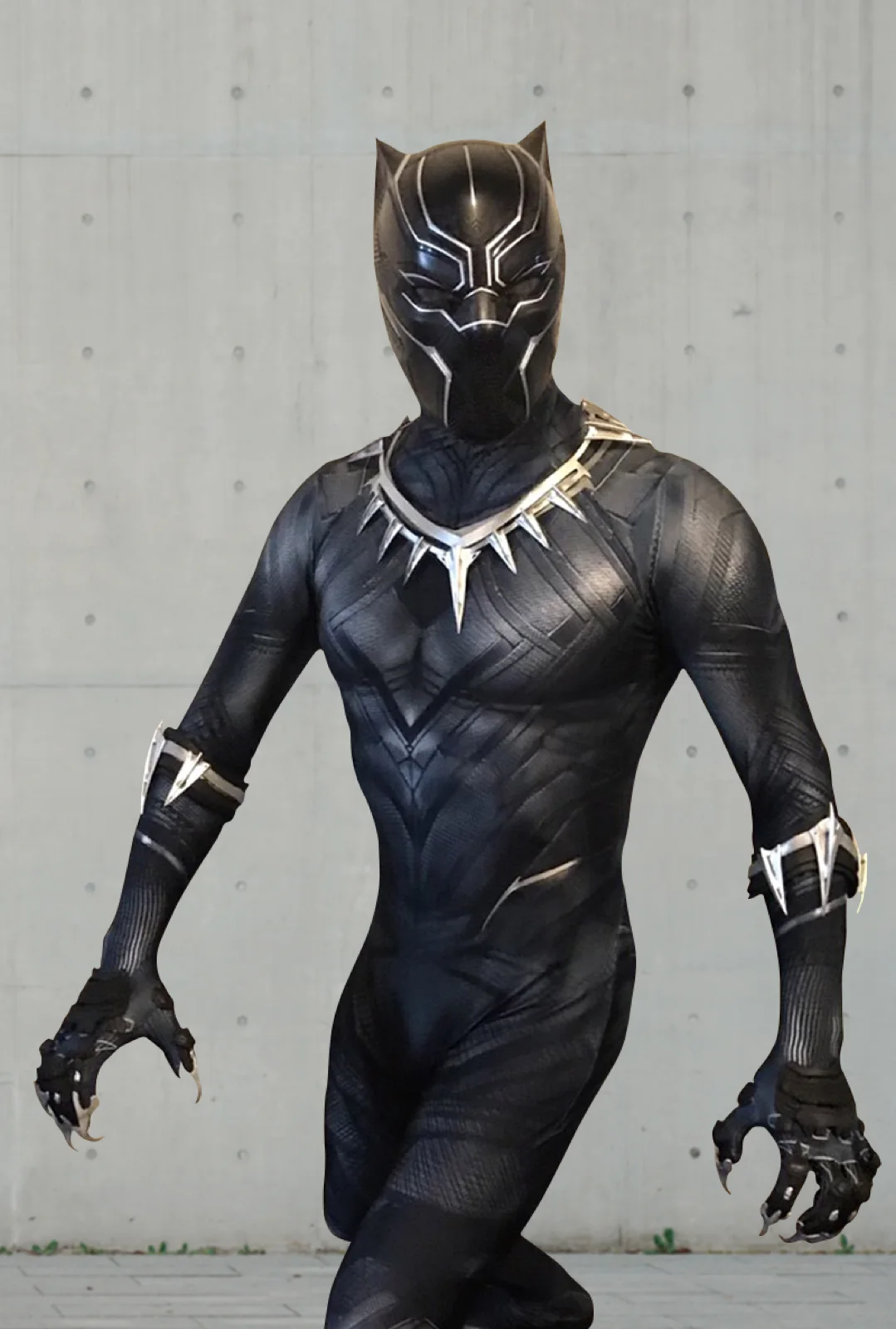 Panther Hero party character in Inland Empire