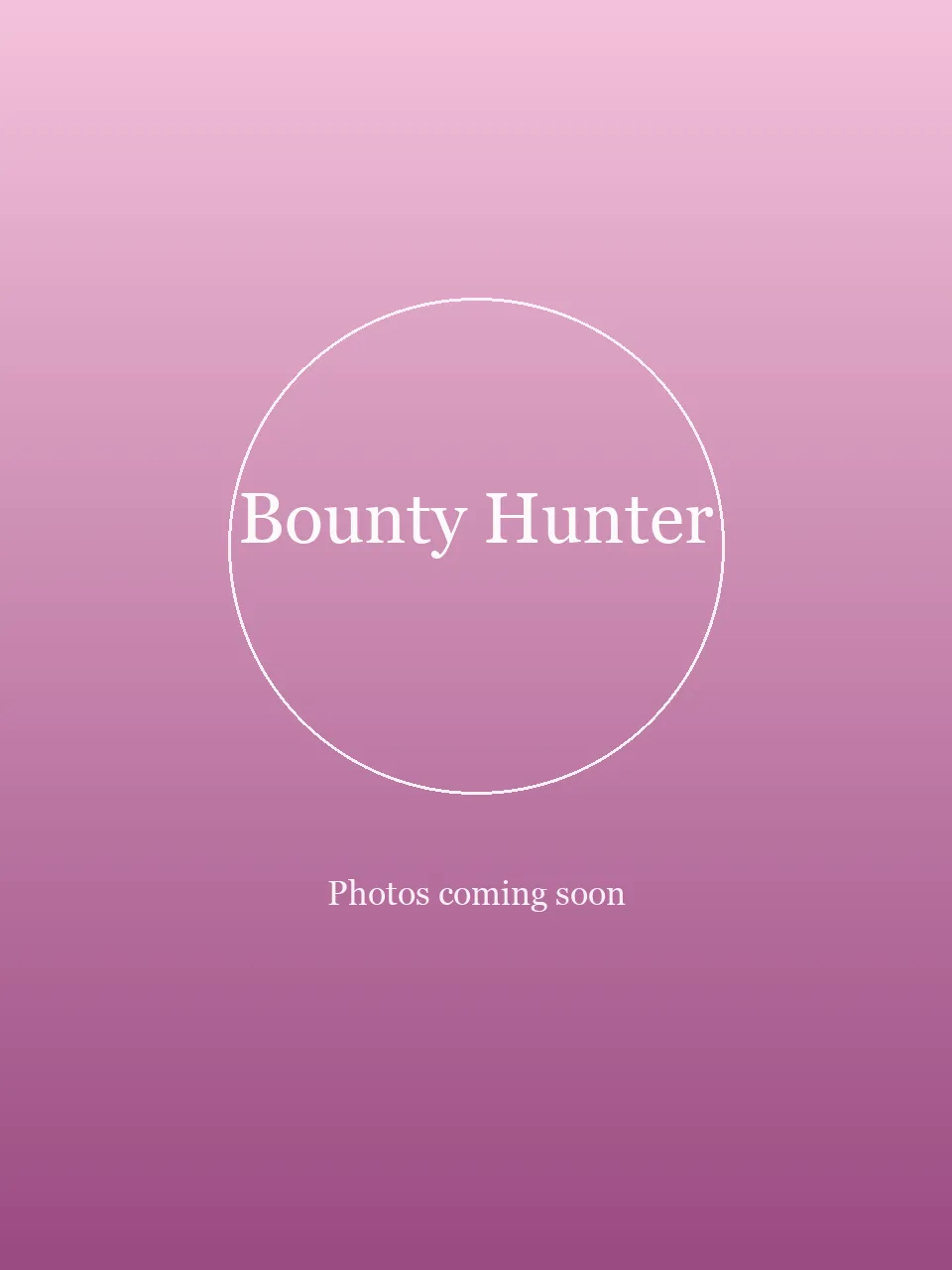 Bounty Hunter party character in Inland Empire