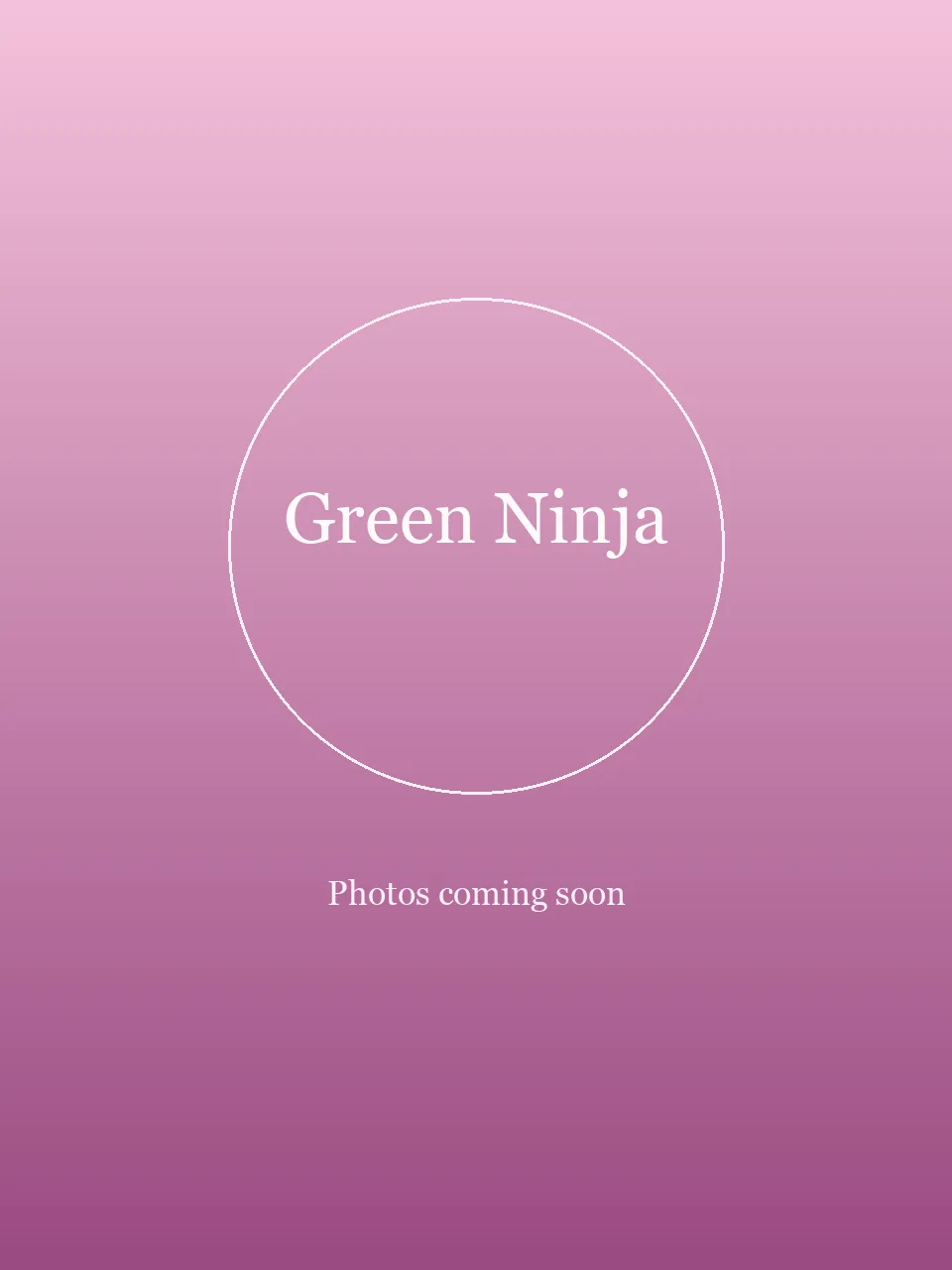 Green Ninja party character in Inland Empire