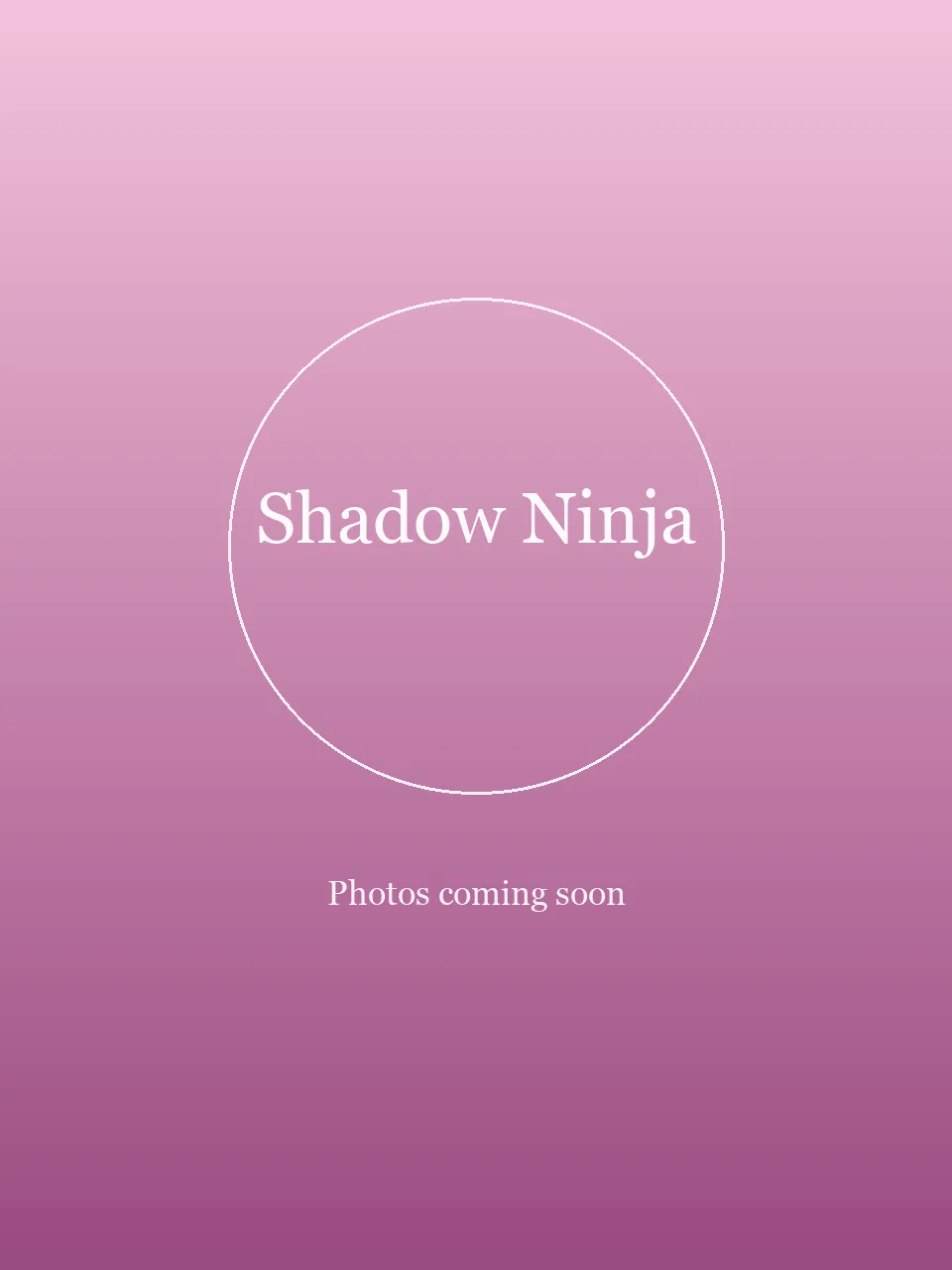Shadow Ninja party character in Inland Empire