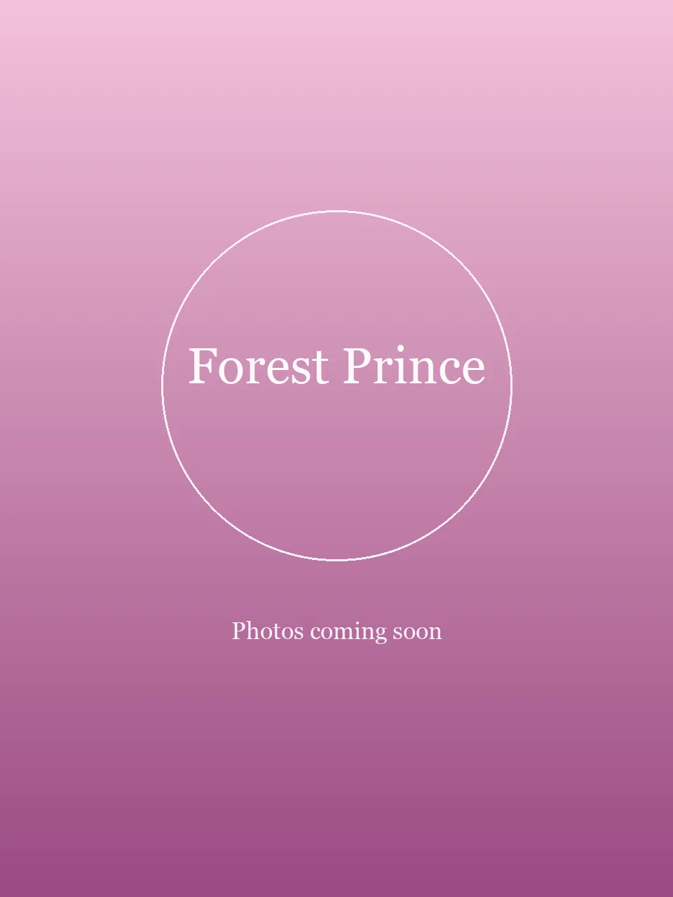 Forest Prince party character in Inland Empire