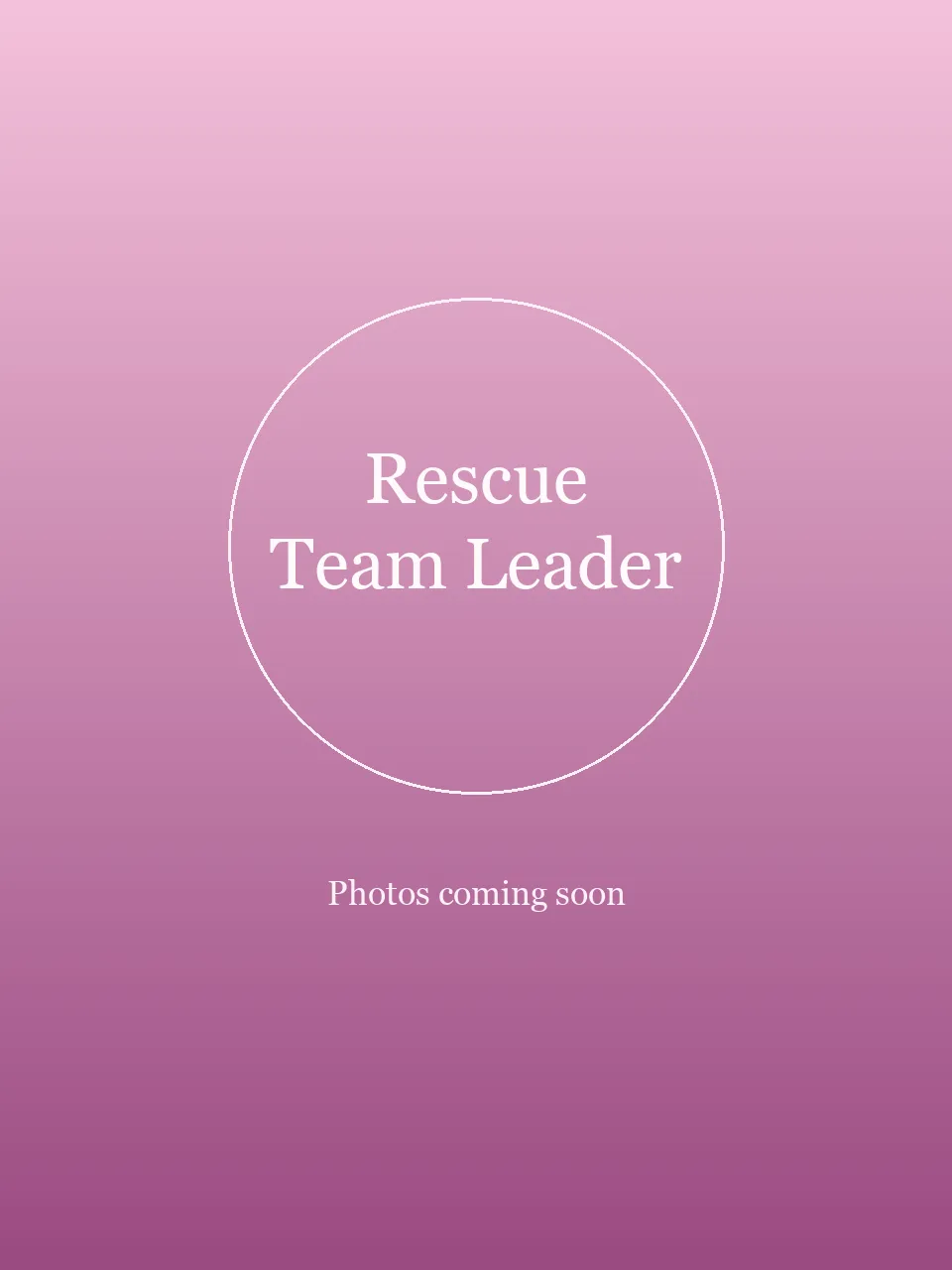 Rescue Team Leader party character in Inland Empire