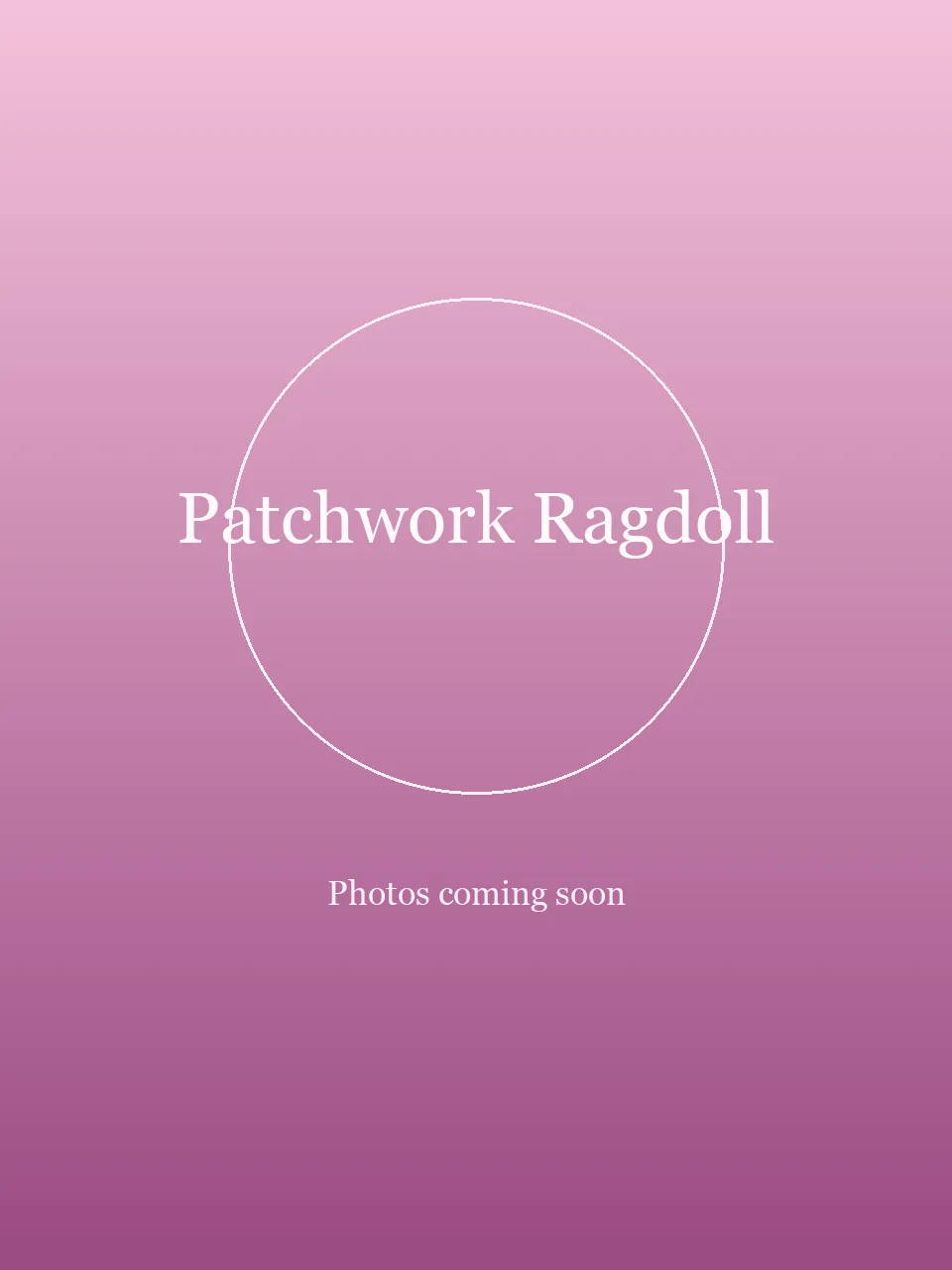 Patchwork Ragdoll party character in Inland Empire